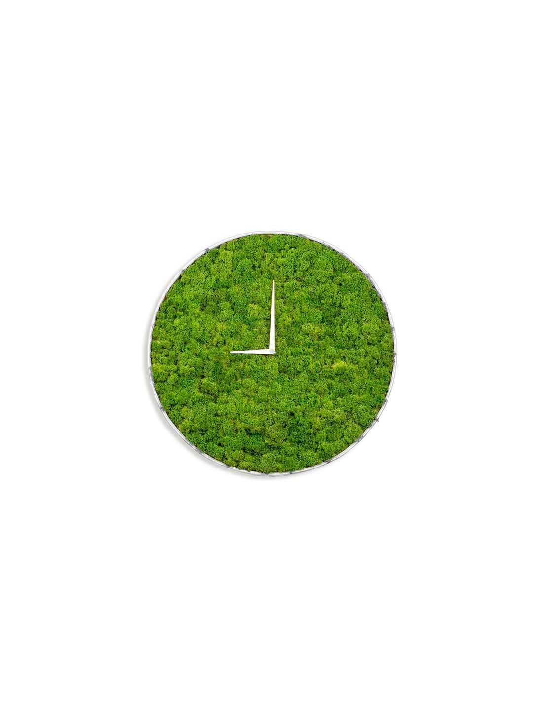 parilla aerolíneas Condensar Reloj de musgo preservado, la forma natural de mirar la hora.
