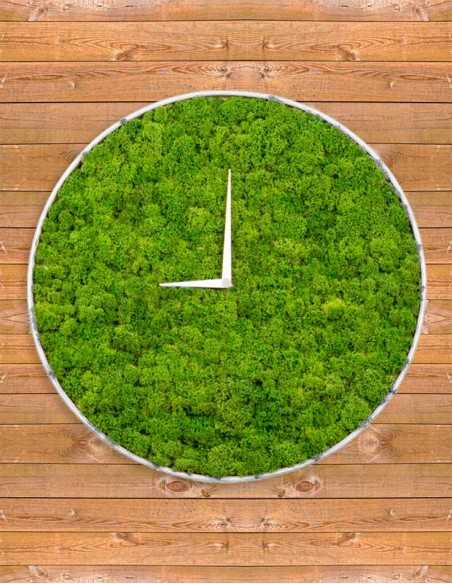 Reloj de musgo sobre fondo madera Reloj de musgo sobre fondo madera