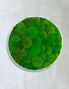 Círculo con musgo bola 2