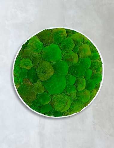 Círculo con musgo bola