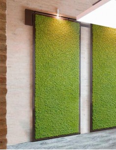 Arte de musgo de pared, Panales de madera, Jardín vertical, Musgo preservado,  Arte de pared de musgo vivo, Decoración de musgo, estantes hexagonales,  regalo original -  España