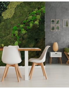 Jardín vertical de musgo y plantas preservadas
