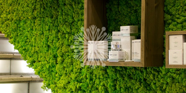 Apuesta por los jardines verticales de musgo o muros verdes para tus interiores