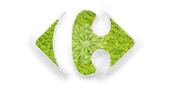 Un logo de musgo ecofriendly para tu negocio