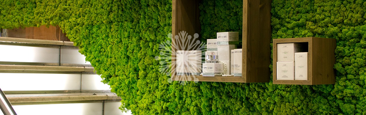 Apuesta por los jardines verticales de musgo o muros verdes para tus interiores